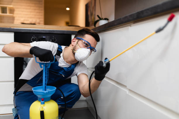 Best Best Pest Control Companies  in Sparta, NC