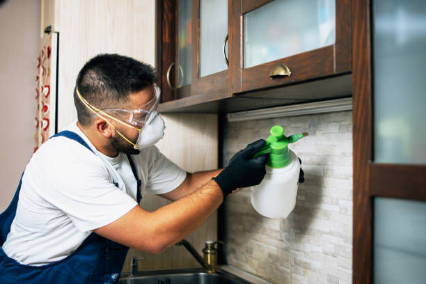 Best Cockroach Control Services  in Sparta, NC