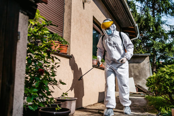 Best Affordable Pest Control Services  in Sparta, NC