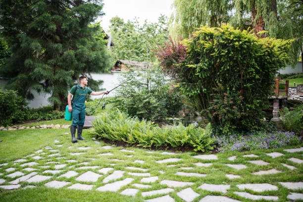 Best Best Pest Control Companies  in Sparta, NC