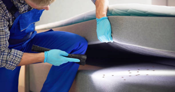 Best Bed Bug Extermination  in Sparta, NC