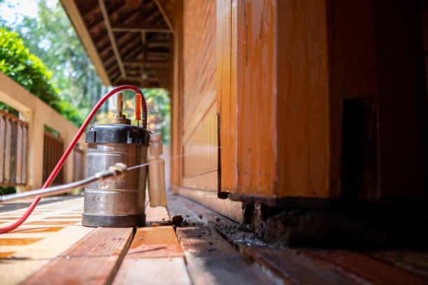 Best Residential Pest Control  in Sparta, NC