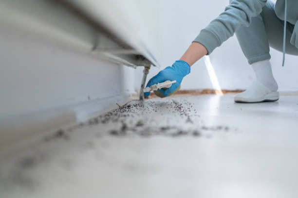 Best Mosquito Control Services  in Sparta, NC