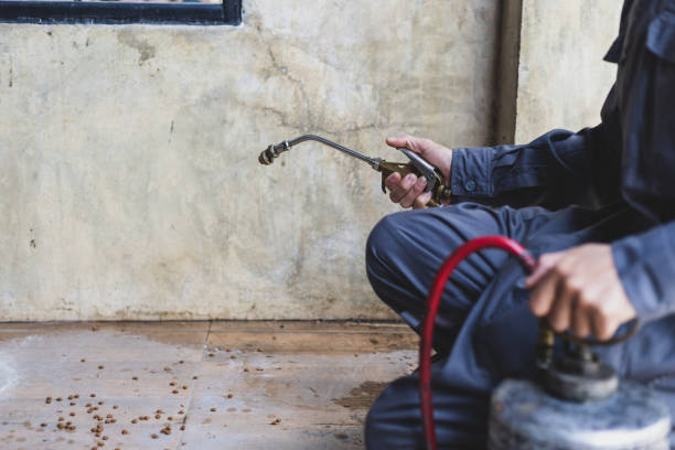 Best Affordable Pest Control Services  in Sparta, NC
